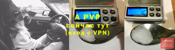 стаф Белокуриха
