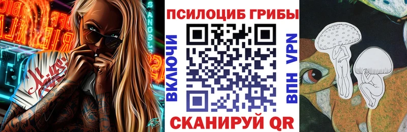 Галлюциногенные грибы Psilocybine cubensis Курчатов