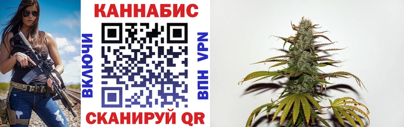 купить закладку  Курчатов  Каннабис SATIVA & INDICA 